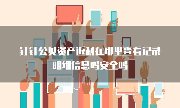 钉钉公贝资产返利在哪里查看记录明细信息吗安全吗