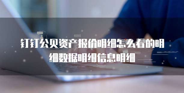 钉钉公贝资产报价明细怎么看的明细数据明细信息明细