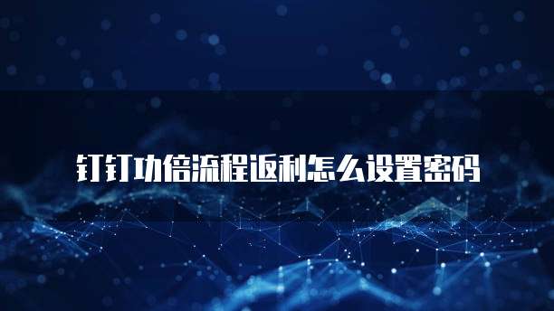 钉钉功倍流程返利怎么设置密码