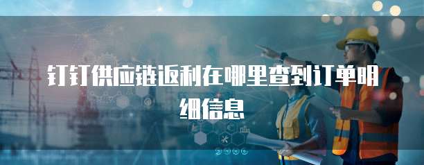 钉钉供应链返利在哪里查到订单明细信息