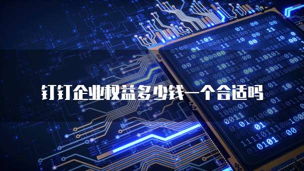 钉钉企业权益多少钱一个合适吗
