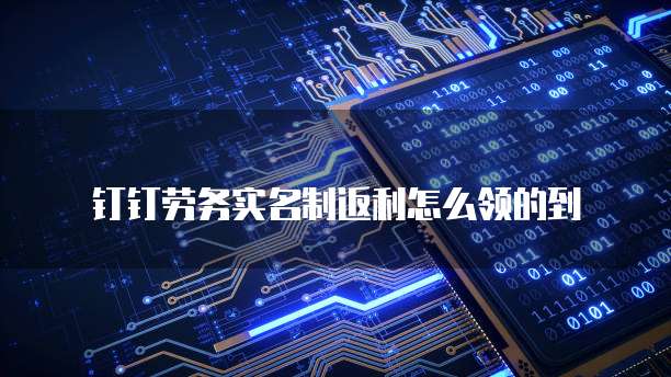 钉钉劳务实名制返利怎么领的到