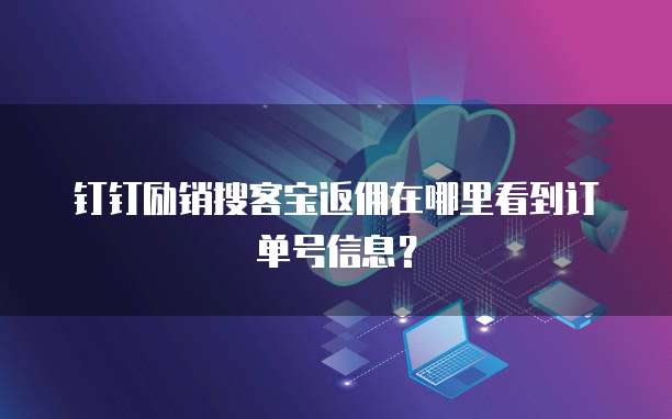钉钉励销搜客宝返佣在哪里看到订单号信息?