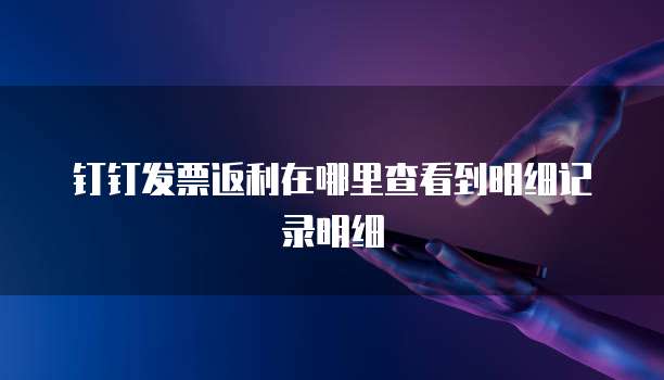 钉钉发票返利在哪里查看到明细记录明细