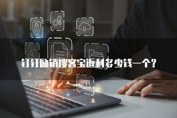 钉钉励销搜客宝返利多少钱一个?