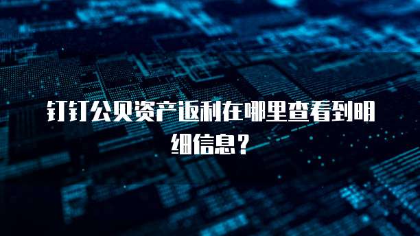钉钉公贝资产返利在哪里查看到明细信息?
