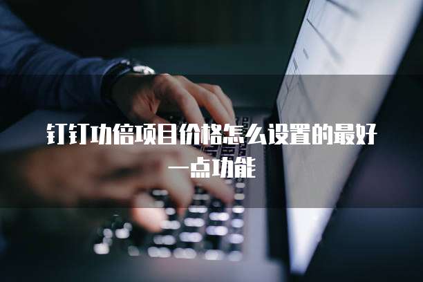 钉钉功倍项目价格怎么设置的最好一点功能