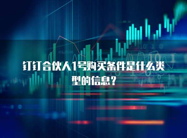 钉钉合伙人1号购买条件是什么类型的信息?