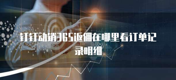 钉钉动销365返佣在哪里看订单记录明细