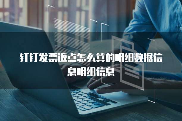 钉钉发票返点怎么算的明细数据信息明细信息