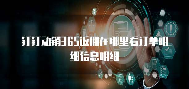 钉钉动销365返佣在哪里看订单明细信息明细