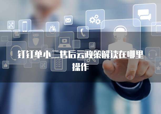 钉钉单小二售后云政策解读在哪里操作