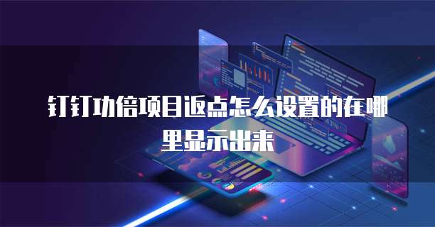钉钉功倍项目返点怎么设置的在哪里显示出来
