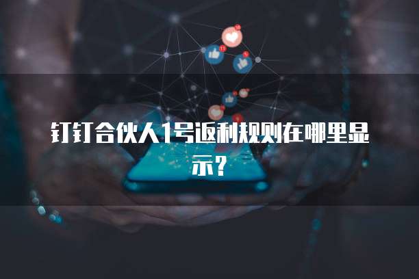 钉钉合伙人1号返利规则在哪里显示?