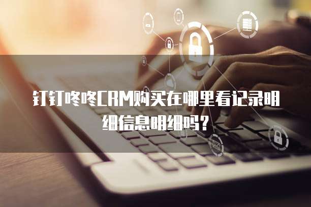 钉钉咚咚CRM购买在哪里看记录明细信息明细吗?
