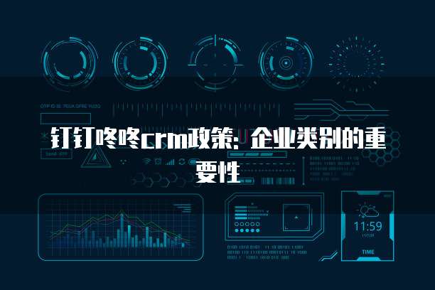 钉钉咚咚crm政策: 企业类别的重要性