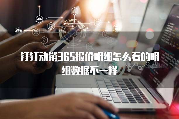 钉钉动销365报价明细怎么看的明细数据不一样