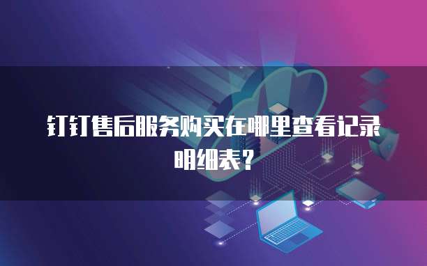 钉钉售后服务购买在哪里查看记录明细表?