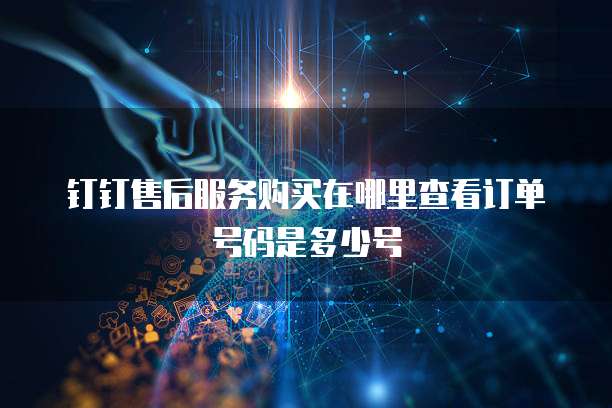 钉钉售后服务购买在哪里查看订单号码是多少号