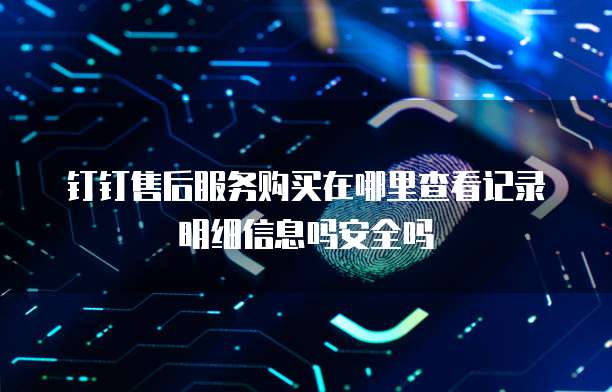 钉钉售后服务购买在哪里查看记录明细信息吗安全吗