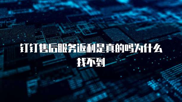 钉钉售后服务返利是真的吗为什么找不到