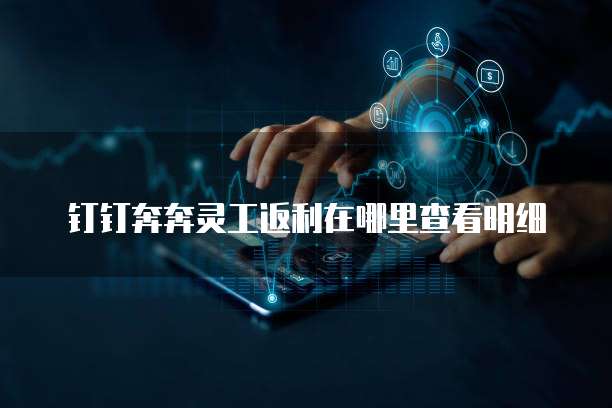 钉钉奔奔灵工返利在哪里查看明细