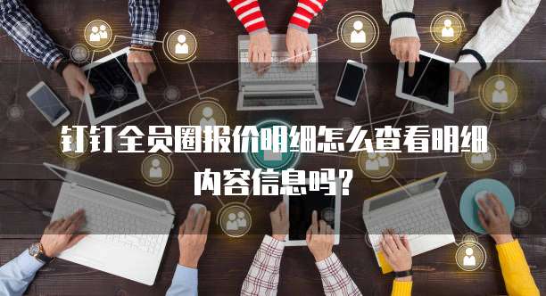 钉钉全员圈报价明细怎么查看明细内容信息吗？