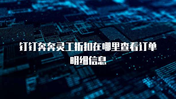 钉钉奔奔灵工折扣在哪里查看订单明细信息