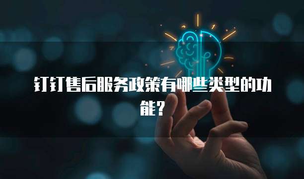 钉钉售后服务政策有哪些类型的功能？