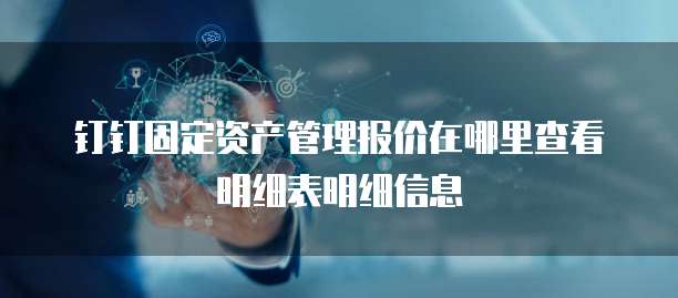 钉钉固定资产管理报价在哪里查看明细表明细信息