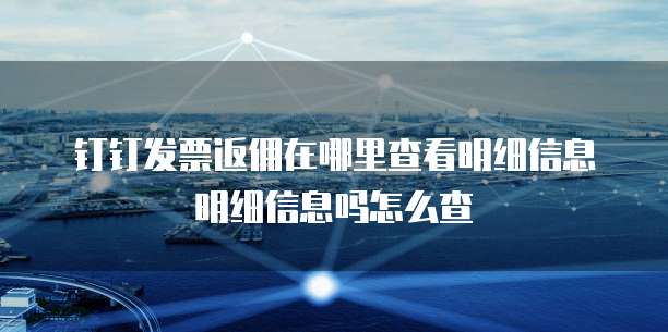 钉钉发票返佣在哪里查看明细信息明细信息吗怎么查