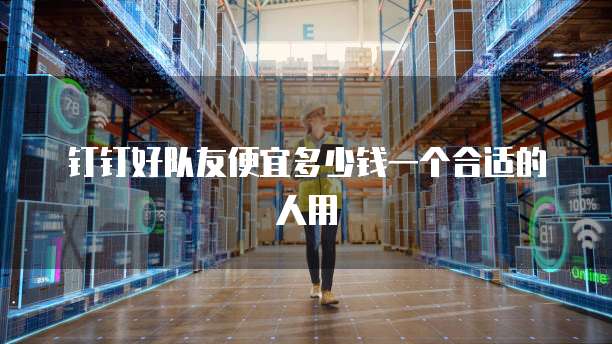 钉钉好队友便宜多少钱一个合适的人用