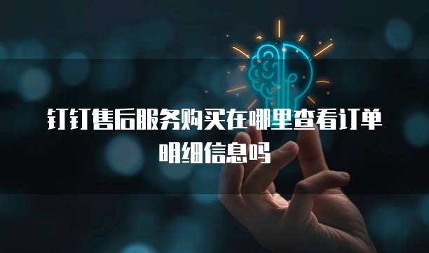 钉钉售后服务购买在哪里查看订单明细信息吗