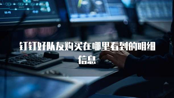 钉钉好队友购买在哪里看到的明细信息
