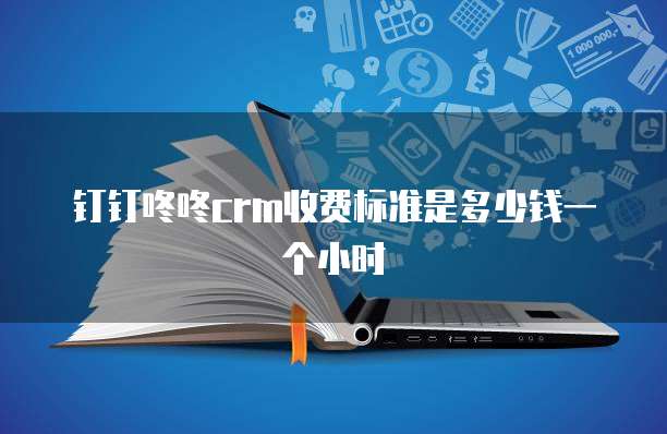 钉钉咚咚crm收费标准是多少钱一个小时