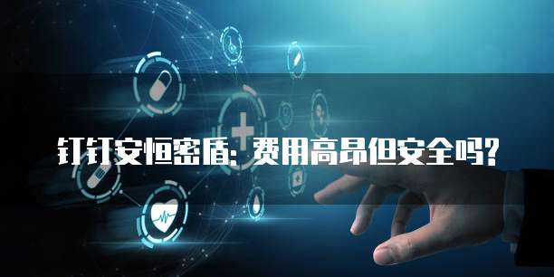 钉钉安恒密盾: 费用高昂但安全吗?