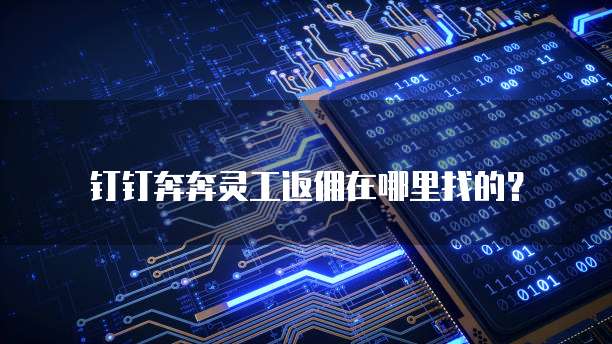 钉钉奔奔灵工返佣在哪里找的?
