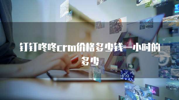 钉钉咚咚crm价格多少钱一小时的多少