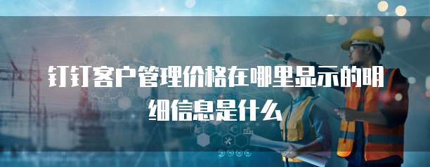 钉钉客户管理价格在哪里显示的明细信息是什么