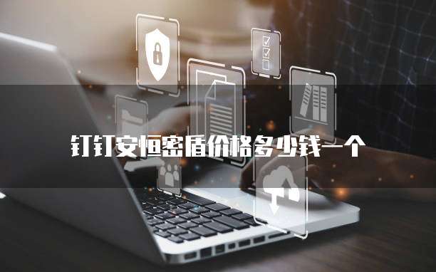 钉钉安恒密盾价格多少钱一个