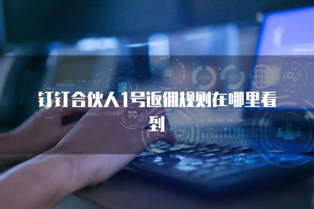钉钉合伙人1号返佣规则在哪里看到