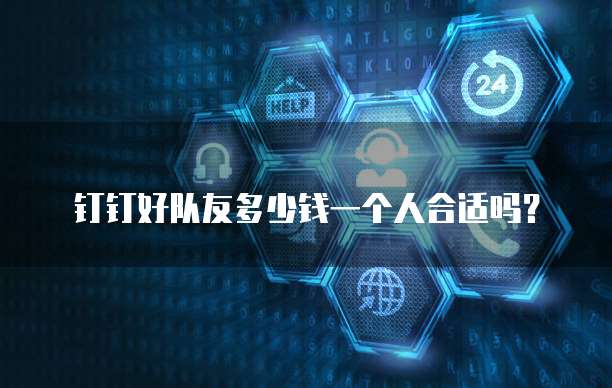 钉钉好队友多少钱一个人合适吗?