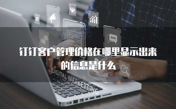 钉钉客户管理价格在哪里显示出来的信息是什么
