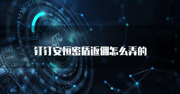 钉钉安恒密盾返佣怎么弄的