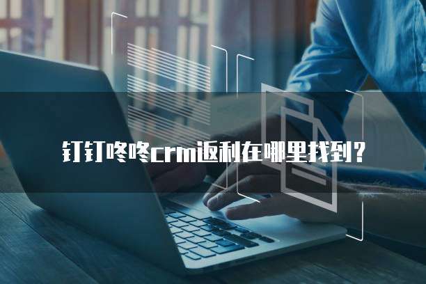 钉钉咚咚crm返利在哪里找到?