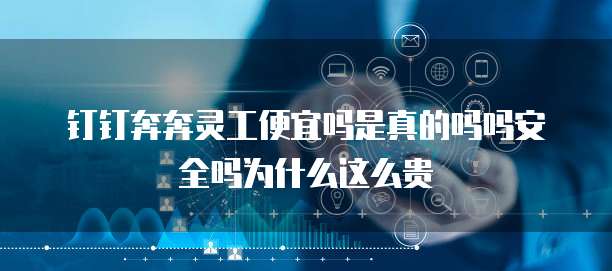 钉钉奔奔灵工便宜吗是真的吗吗安全吗为什么这么贵