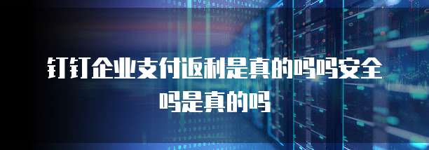 钉钉企业支付返利是真的吗吗安全吗是真的吗
