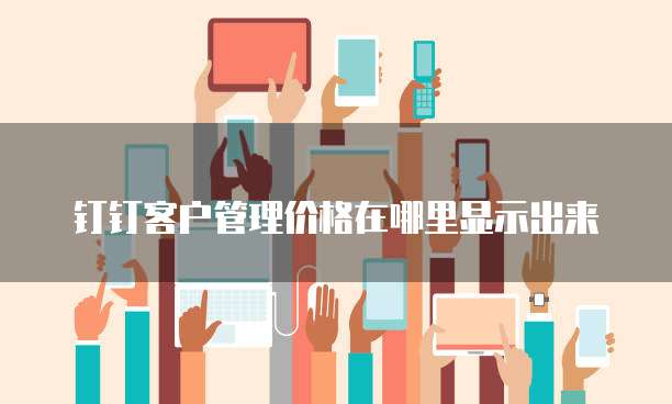 钉钉客户管理价格在哪里显示出来
