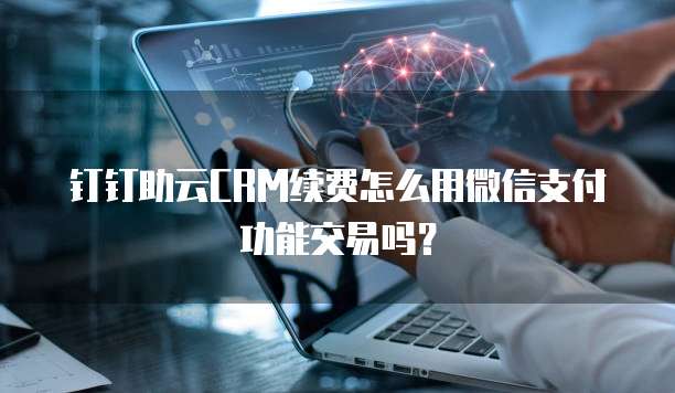 钉钉助云CRM续费怎么用微信支付功能交易吗?
