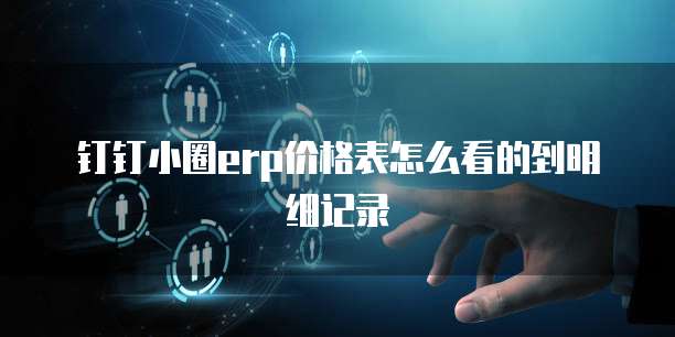 钉钉小圈erp价格表怎么看的到明细记录